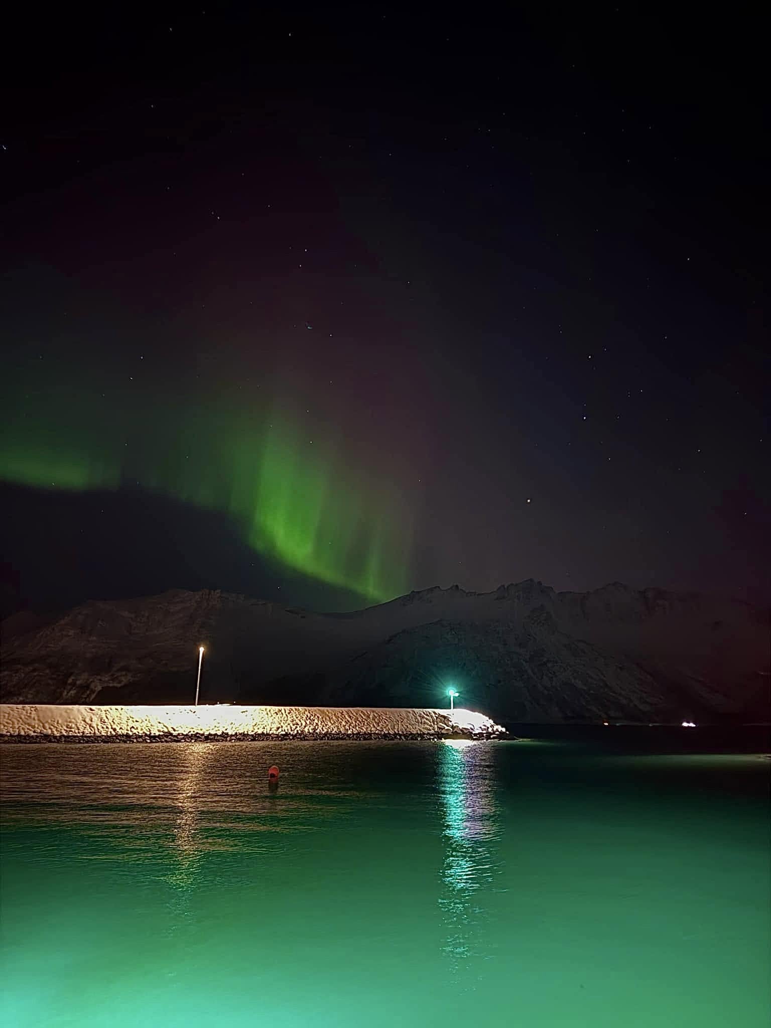 Aurora borealis over the fjord with a guest swimming in the Arctic sea